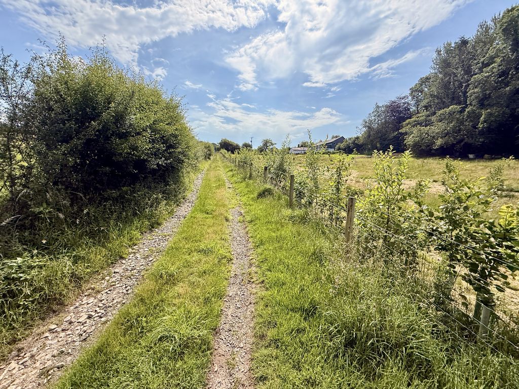  Trewidland